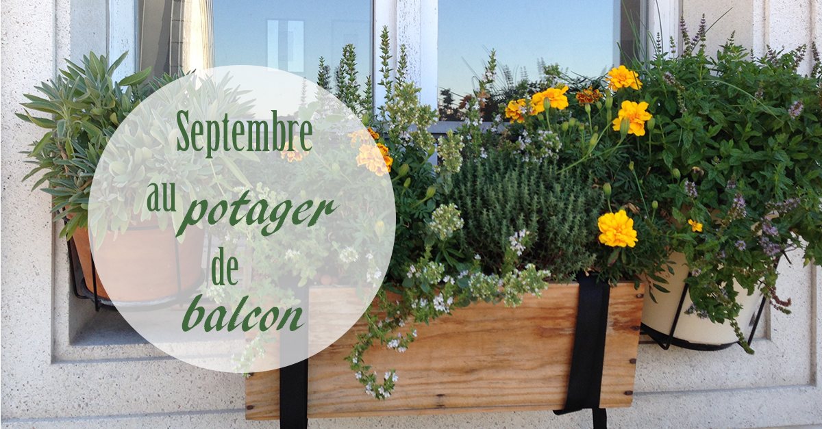 que planter en septembre balcon que planter en septembre balcon