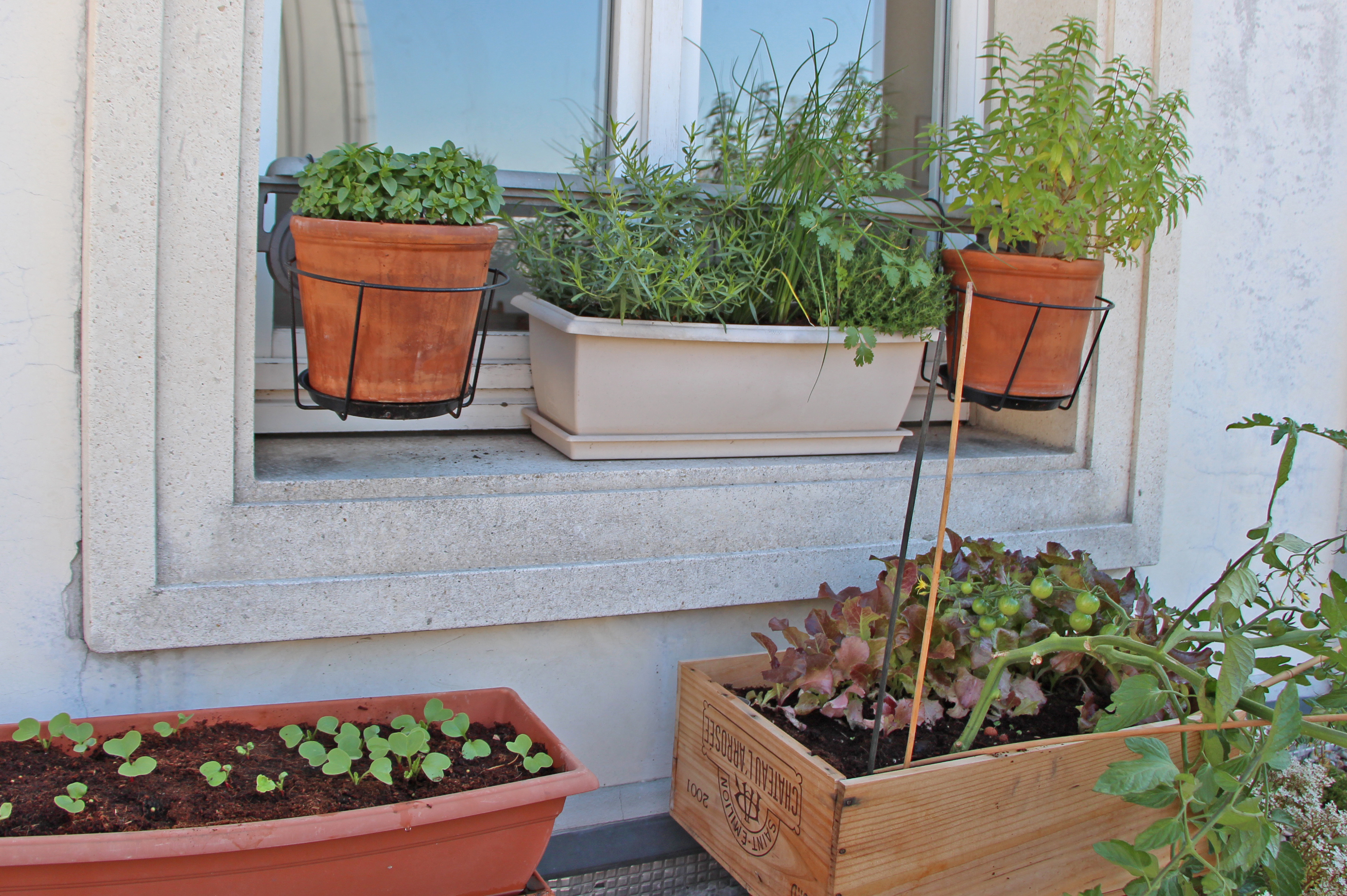 Des herbes au balcon : micro-agriculture urbaine à Paris - Au four & au  moulin