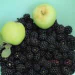 Mûres sauvages et pommes vertes