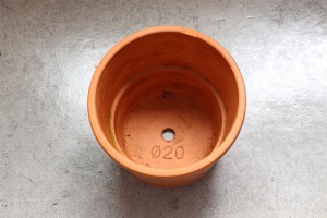 Plantaton_Pot1