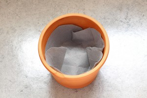 Plantaton_Pot4