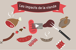 Impact de la viande - Inforgraphie; Le Monde