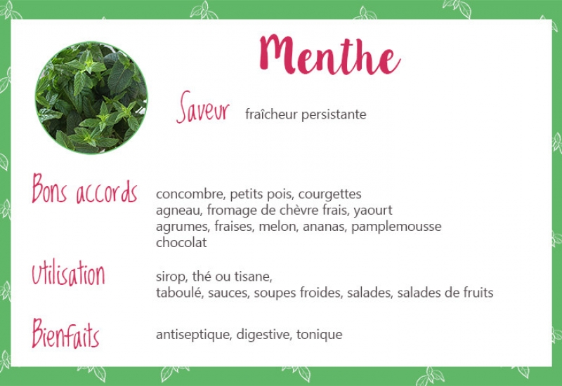 Menthe_fiche