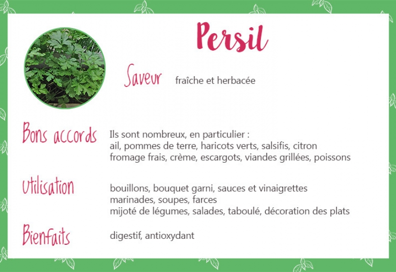 persil_fiche