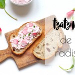 tzatziki de radis à la ciboulette, dip au radis, tartinade au radis