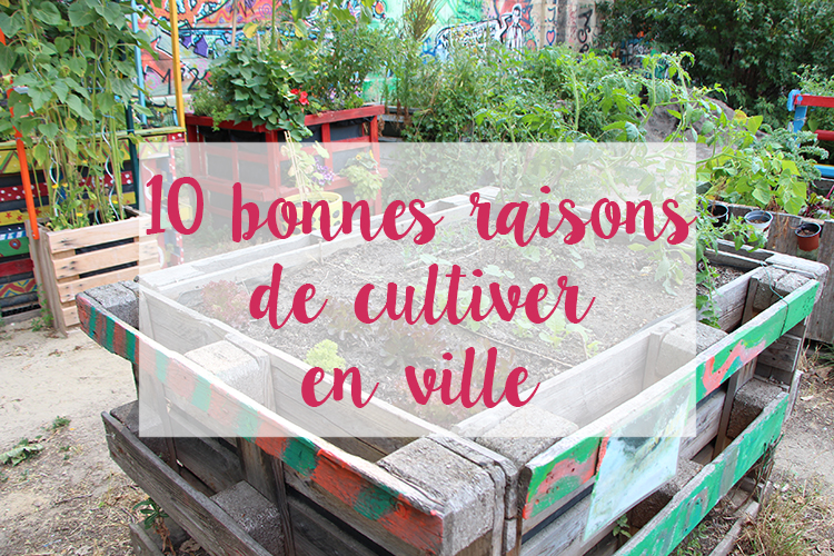 5 bonnes raisons de se mettre au jardinage