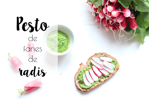 pesto_radis2