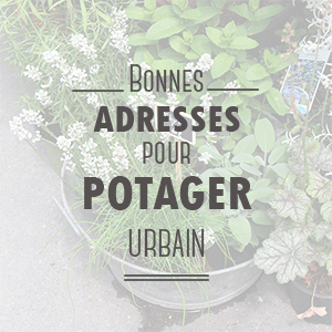 Bonnes adresses pour potager urbain