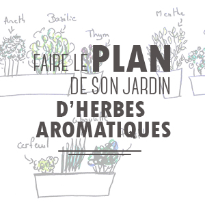 Faire le plan de son jardin d’herbes