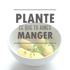 Plante ce que tu aimes manger