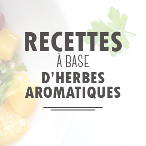 Recettes avec des herbes aromatiques