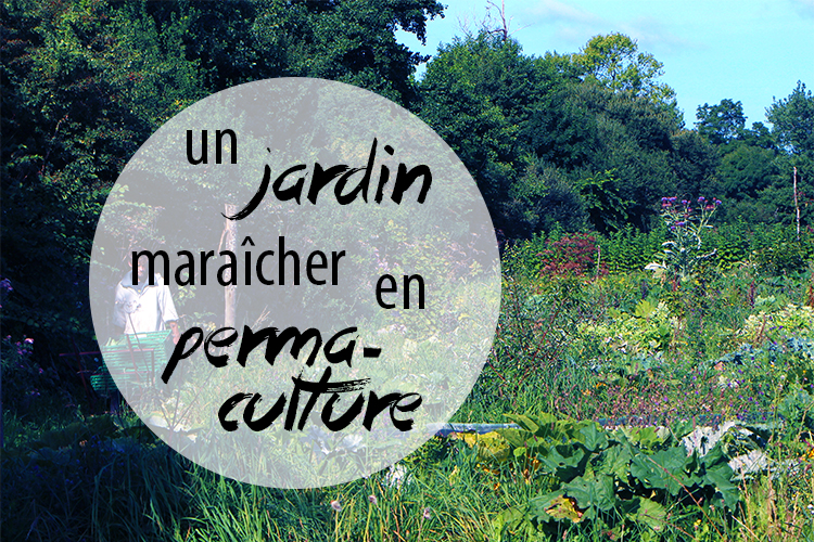 jardin-maraicher-permaculture-titre