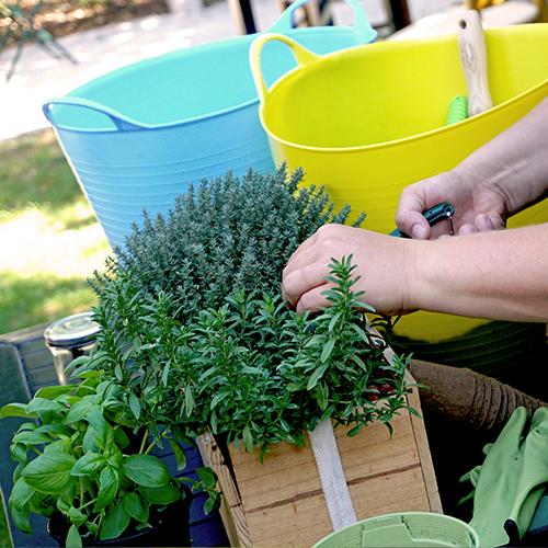 atelier-potager-3