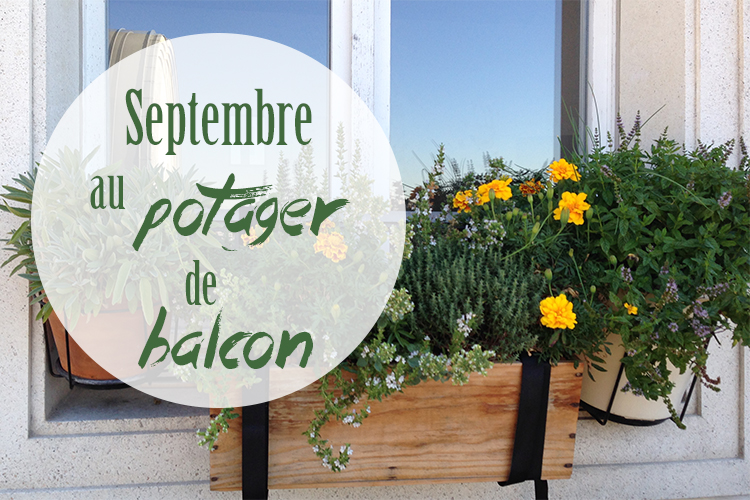 potager-balcon-septembre-titre