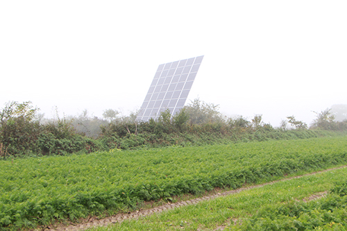 Des haies pour entretenir la biodiversité et des panneaux solaires couvrent 20 % des besoins de l'entreprise en électricité