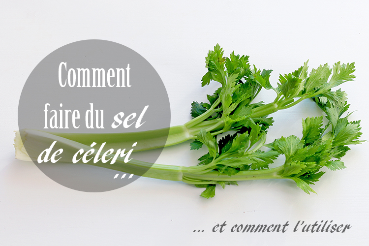 Comment faire du sel de céleri - Au four & au moulin