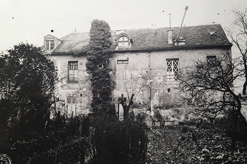 Potager urbain en pleine terre à Paris Montmartre