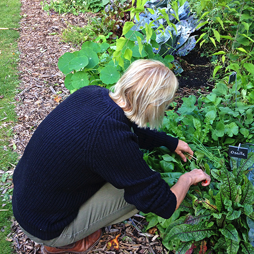 potager-urbain-musee-montmartre-paris-ateliers-jardinage-legumes-herbes-apprendre-à-cultiver-en-ville-enfants-adultes-nature-en-ville-paris-18-plein-air-automne (5)