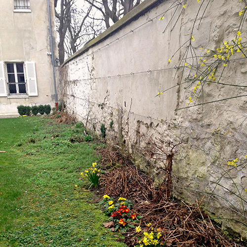 potager-urbain-musee-montmartre-paris-ateliers-jardinage-legumes-herbes-apprendre-à-cultiver-en-ville-enfants-adultes-nature-en-ville-paris-18-plein-air-installation (2)