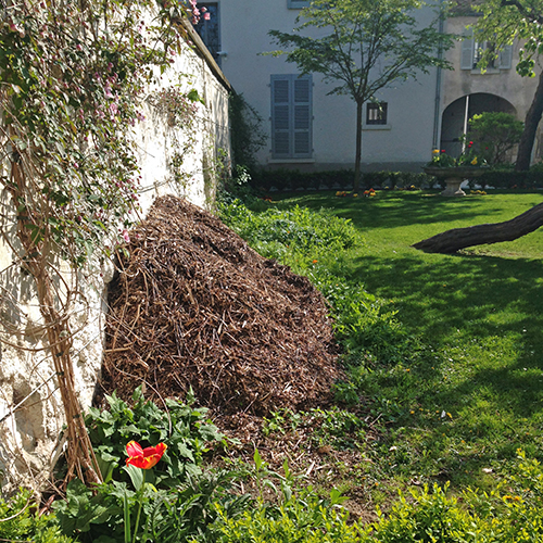 potager-urbain-musee-montmartre-paris-ateliers-jardinage-legumes-herbes-apprendre-à-cultiver-en-ville-enfants-adultes-nature-en-ville-paris-18-plein-air-installation (3)