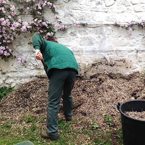 potager-urbain-musee-montmartre-paris-ateliers-jardinage-legumes-herbes-apprendre-à-cultiver-en-ville-enfants-adultes-nature-en-ville-paris-18-plein-air-installation (4)