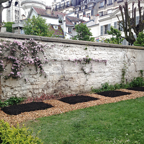 potager-urbain-musee-montmartre-paris-ateliers-jardinage-legumes-herbes-apprendre-à-cultiver-en-ville-enfants-adultes-nature-en-ville-paris-18-plein-air-installation (5)