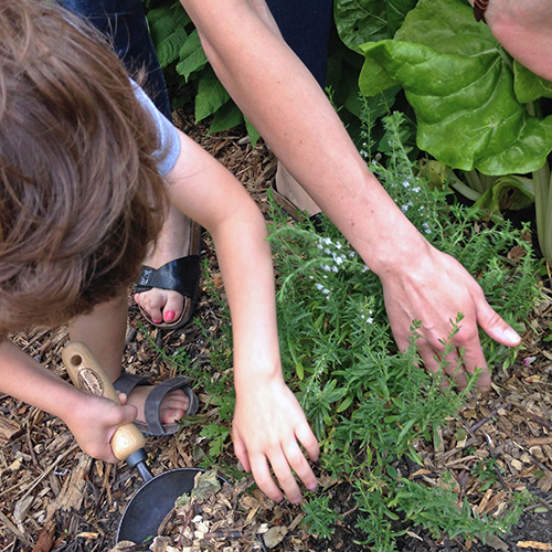 potager-urbain-musee-montmartre-paris-ateliers-jardinage-legumes-herbes-apprendre-à-cultiver-en-ville-enfants-adultes-nature-en-ville-paris-18-plein-air-printemps (2)