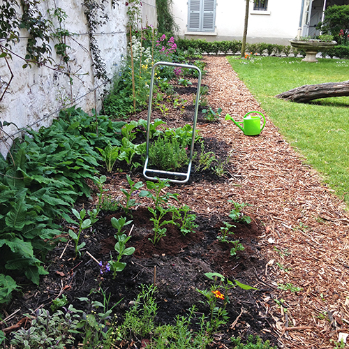 potager-urbain-musee-montmartre-paris-ateliers-jardinage-legumes-herbes-apprendre-à-cultiver-en-ville-enfants-adultes-nature-en-ville-paris-18-plein-air-printemps (3)