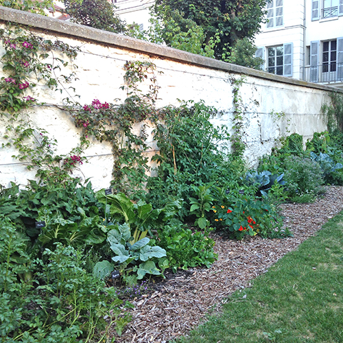 potager-urbain-musee-montmartre-paris-ateliers-jardinage-legumes-herbes-apprendre-à-cultiver-en-ville-enfants-adultes-nature-en-ville-paris-18-plein-air-été (1)