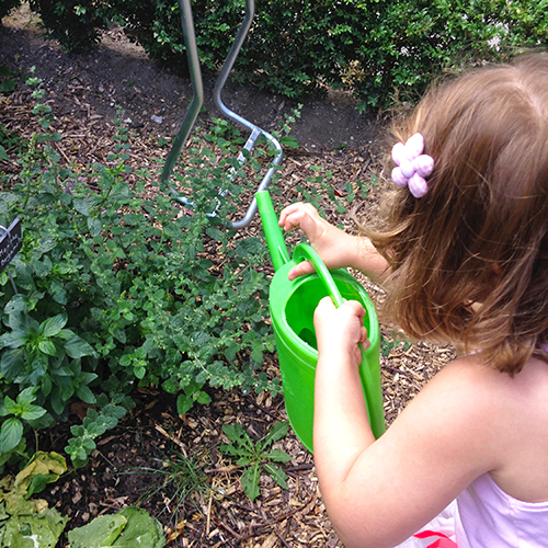 potager-urbain-musee-montmartre-paris-ateliers-jardinage-legumes-herbes-apprendre-à-cultiver-en-ville-enfants-adultes-nature-en-ville-paris-18-plein-air-été (6)