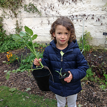 aventures-nature-ateliers-enfants-plein-air-recolte-radis-jardinage-en-ville-paris-18