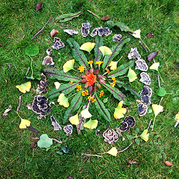 mandala-land-art-aventures-nature-ateliers-enfants-plein-air