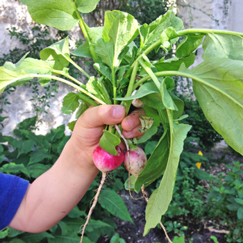 atelier-aventures-nature-scolaires-enfants-ecole-maternelle-elementaire-paris-jardin-plantes-monde-vegetal-1