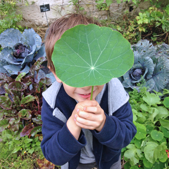 ateliers-aventures-nature-scolaire-decouverte-flore-faune-jardin-plein-air-escargot