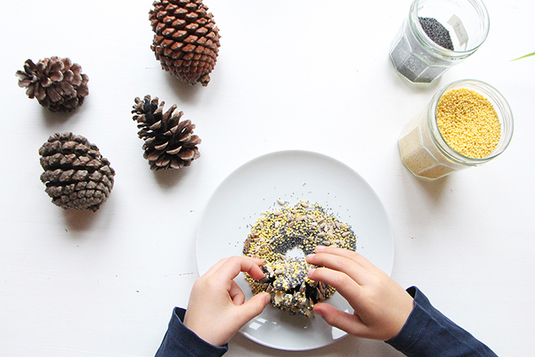 DIY : une boule de graisse maison pour nourrir les oiseaux l'hiver