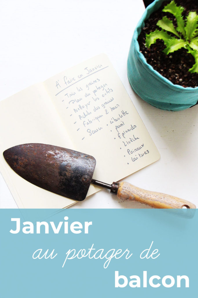 Cahier, transplantoir et pot avec de un salade frisée