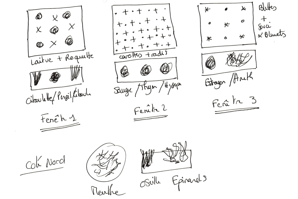 plan dessiné d'un potager de balcon