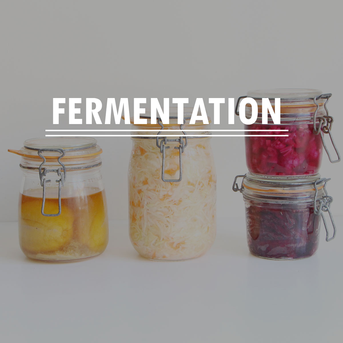 Fermentation