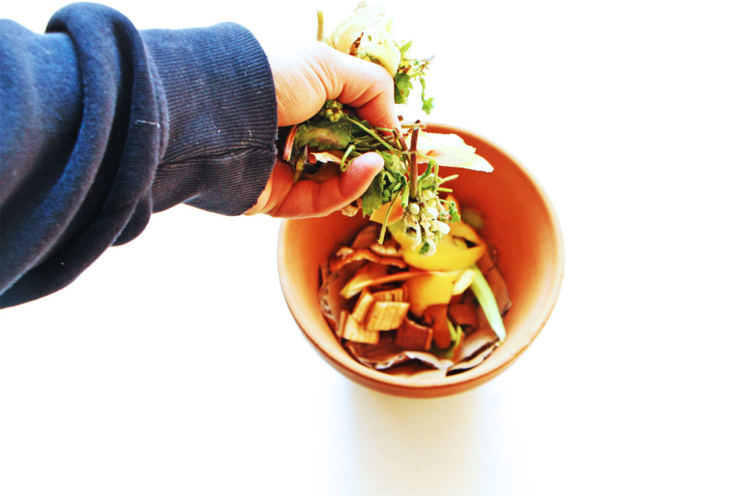 lasagne de permaculture dans un pot