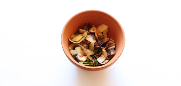 lasagne de permaculture dans un pot