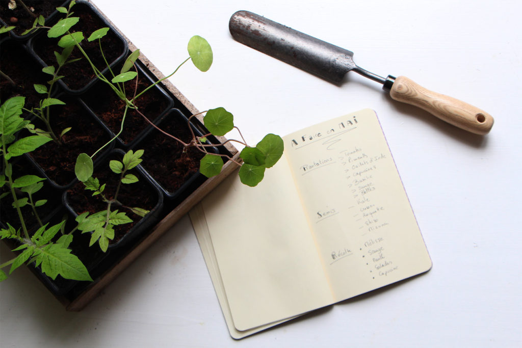 check-list tâches a faire en mai au potager