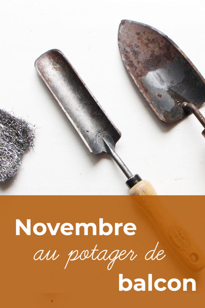 Que faire en novembre au potager de balcon : nettoyer les outils