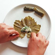 Feuilles de vigne farcies au riz et aux herbes